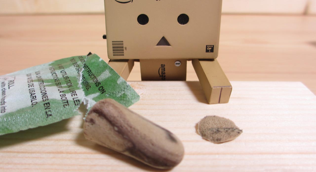 猫に適した耳栓(フォームタイプ)
