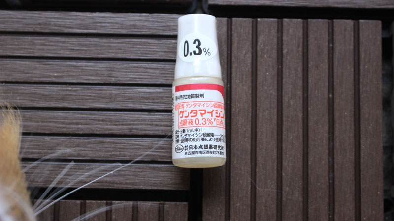 猫用目薬(ゲンタマイシン)