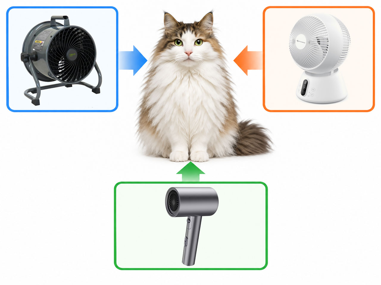 ドライヤー・業務用サーキュレーター・家庭用サーキュレーターで猫を乾かしている様子